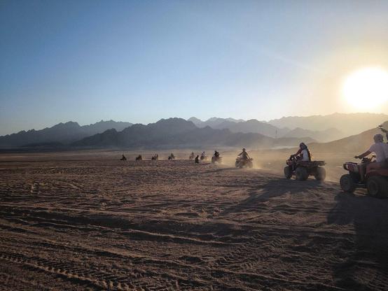 Marsa Alam SafariMarsa Alam Safari