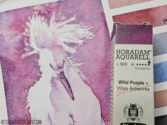 Painting of an egret in purple that is separating into pinks and blues. On top is a little box with paint that says Horadam Aquarell Wild Purple by Schmincke.