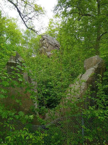 Spring green forest patch with three rocks, two rocks in the foreground, one to each side and one, higher rock further back. 