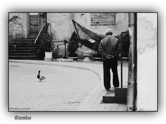A black-and-white photograph captures a street scene in a small town. On the right, there are steps leading upwards, while on the left, wide concrete stairs descend toward the sidewalk. Old buildings with chipped facades give the place a nostalgic atmosphere. Directly ahead stands an abandoned building with empty windows and weathered walls. Fishing nets are hung on one of the walls, swaying slightly in the breeze.
An elderly man, leaning on a cane, walks slowly along the sidewalk, his posture expressing calm and contemplation. In front of him, standing in the middle of the street, is a duck, seemingly watching him attentively, creating an unusual encounter between two different worlds. The contrast between the stillness of man and animal highlights the melancholic atmosphere of the scene. The play of light and shadow in the black-and-white tones adds depth to the composition.