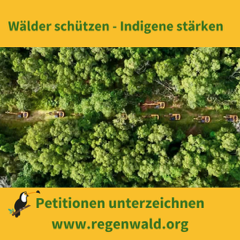 Wälder schützen - Indigene stärken