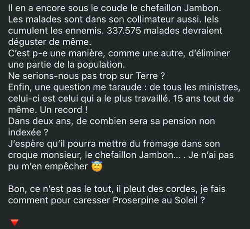 Les malades sont dans son collimateur aussi. Iels cumulent les ennemis. 337.575 malades devraient déguster de même. C’est p-e une manière, comme une autre, d’éliminer une partie de la population. Ne serions-nous pas trop sur Terre ? Enfin, une question me taraude : de tous les ministres, celui-ci est celui qui a le plus travaillé. 15 ans tout de même. Un record ! Dans deux ans, de combien sera sa pension non indexée ? J’espère qu’il pourra mettre du fromage dans son croque monsieur, le chefaillon Jambon… . Je n’ai pas pu m’en empêcher 😇  Bon, ce n’est pas le tout, il pleut des cordes, je fais comment pour caresser Proserpine au Soleil ?  🔻