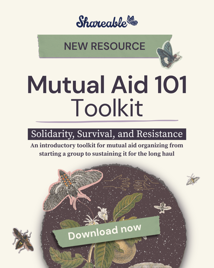 A beige background with text in front reading, "New Resource, Mutual Aid 101 Toolkit. Solidarity, Survival, and Resistance. An introductory toolkit for mutual aid organizing from starting a group to sustaining it for the long haul." Below are artistic renderings  in hues of green and purple of moths, butterflies, plants, and hands reaching for each other. 