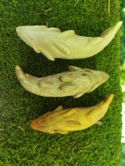 three carved trouts, ventral view