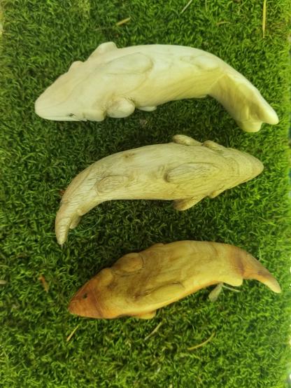 three carved trouts, dorsal view