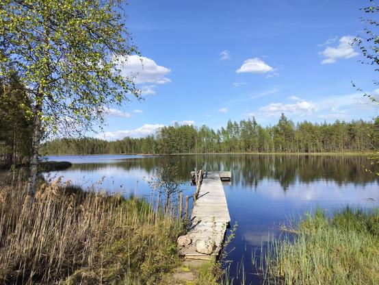 A blue lake in the photo. Above a blue sky and white clouds. There's a wooden dock in the picture 