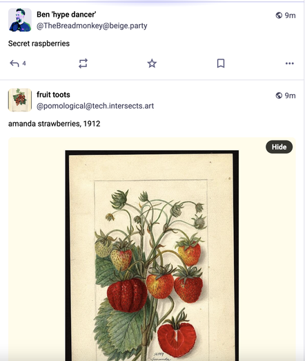 A screenshot of two posts on the fediverse, one after the other. The top one is from Ben "hype dancer" and just says "secret raspberries" and the bottom one is from pomological, aka fruit toots - it's a painting of strawberries and the text says "amanda strawberries, 1912". The poster has found the coincidence to be quick mirthful.