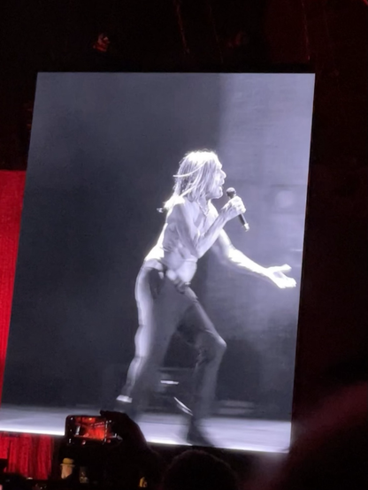 Iggy Pop on the screen at Ally Pally last night. Giving everything.