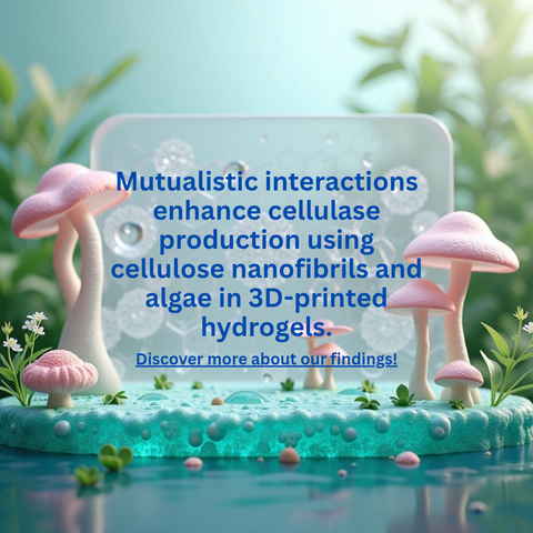 An artistic post shiwing pink mushrooms, round freshwater algae and a clear gel as a representation of mutual connections between algae and white rot fungi.