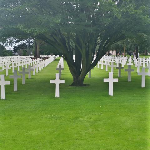 Cimetière US de Normandie, vue de front, avec arbre.
