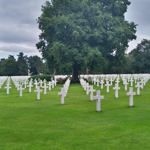 Cimetière US de Normandie, vue de biais, avec arbre et parterre de fleurs, par temps gris.