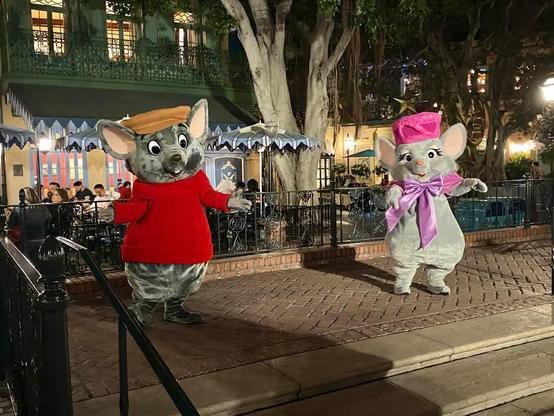 Disney Couples Week: #MissBianca and Bernard from the Sweethearts event at Disneyland. 

#woodbreyfamilytravel #disneycharacterphotos #disneycharacters #disneyparks #disneytravel #disneygram #disneycouples #disneyprincess #therescuers