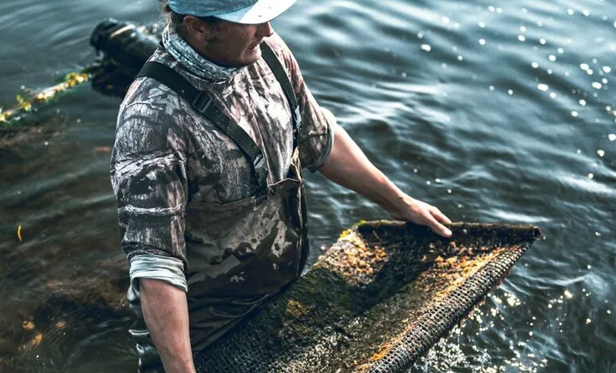 A Mississippi teenager’s oyster bed restoration project has achieved remarkable success, producing over 1,500 oysters for coastal ecosystem recovery. Photo by John Angel on Unsplash

