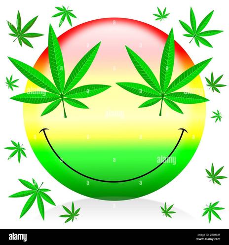 Smiley emoji mit Marijuana-Blättern als Augen.

Quelle:
https://c8.alamy.com/comp/2BD483F/happy-marijuana-emoticon-cartoon-illustration-2BD483F.jpg