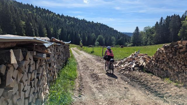 Début d'une piste gravel dans les forêts du Jura