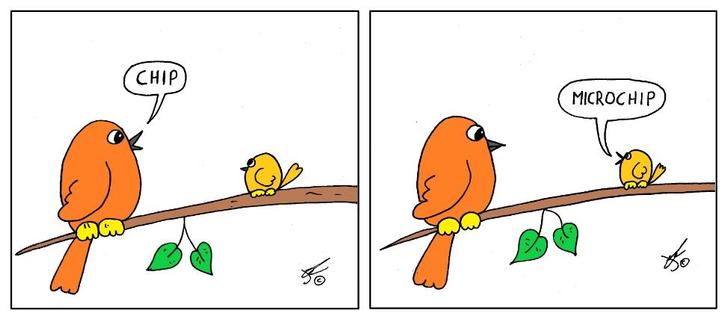 This cartoon is presented in two panels side by side.

Left panel:
A large orange bird is perched on a tree branch, looking proudly at a small yellow bird beside it. The orange bird is teaching the smaller one how to speak, saying "CHIP" in a speech bubble. The scene is simple, with just a branch and a couple of green leaves hanging below it.

Right panel:
Now, the small yellow bird is responding to the orange bird. It confidently says "MICROCHIP" in a speech bubble. The orange bird looks surprised or slightly disapproving, with a raised eyebrow. The same branch and leaves are present, keeping the setting consistent.