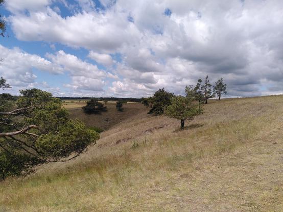 Südlich der Steppe liegt das Tal der Jihlava.