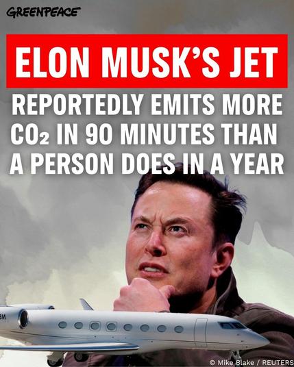 Elon Musk with private jet