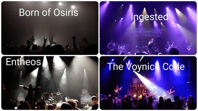 Concert à la Rayonne pour du Deathcore. 
On commence avec The Voynich Code, pas évident d'ouvrir avec une salle à moitié vide. Sympa mais la voix ne s'entend pas être sur certaines tessitures. 
Ensuite Entheos, beaucoup d'énergie mais une voix en retrait, dommage. 
Après Ingested, bien rythmé mais toujours une voix sous mixée. 
Pour finir Born of Osiris avec un peu d'électro mais pas de bassiste, ils leur manquent un demi tempo et ça irait plus vite.