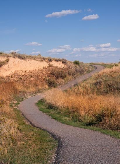 A winding trail through tall grass