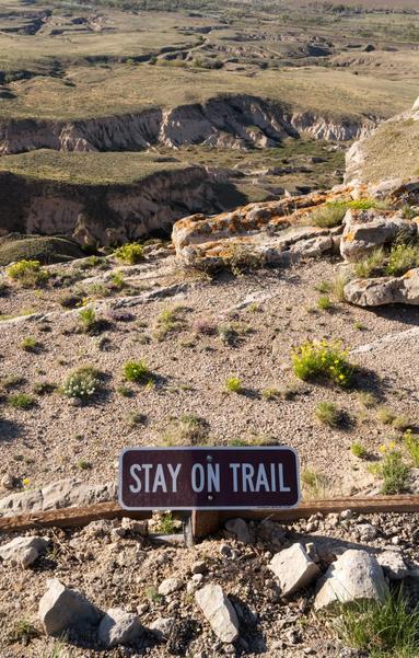 A sign reads “stay on trail” 