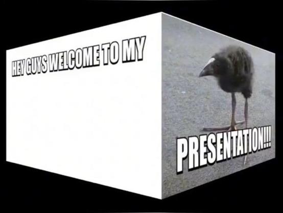 Hey guys welcome to my....

Presentation!!!
(Picture of a black bird  with long legs)