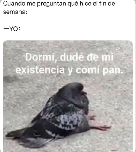 Cuando me pregunta lo qué hice el fin de semana :
Dormí, dudé de mi existencia y comí pan