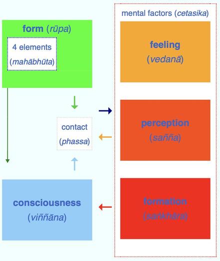 The interplay of the Five Aggregates (pañca khandha) according to the Pali Canon. Source: Wikimedia Commonsꜛ (license: CC BY-SA 4.0)ꜛ.