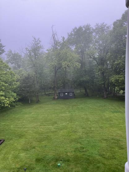 Foggy view of my backyard & small copse of wood. Newly painted dark gtray shed! Sitting right at the edge of the woods.