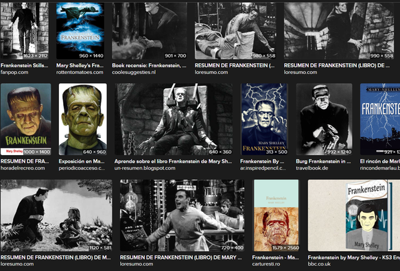 Screenshot Internet Bildersuche Frankenstein 30.05.2025

Sie machten UNS Angst - sie wussten wie das geht - dann profitierten sie vom KRIEG - gegen was auch immer - dasselbe Prinzip - nur humaner - heute?