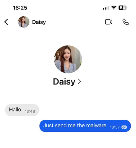 A messaging iOS app screenshot shows a chat with "Daisy." Daisy sent "Hallo" at 13:48, and the other person replied "Just send me the malware" at 13:57