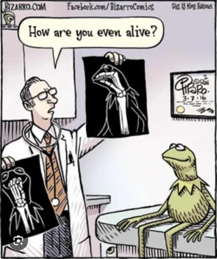 kermit at the doctors. doctor holding up an xray showing a hand inside kermit's head.