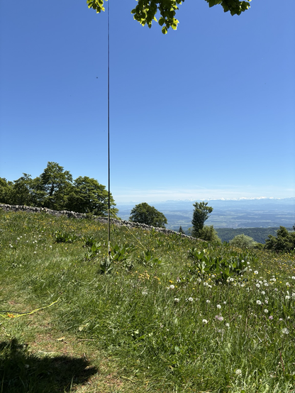 Antenna and Panorama 
