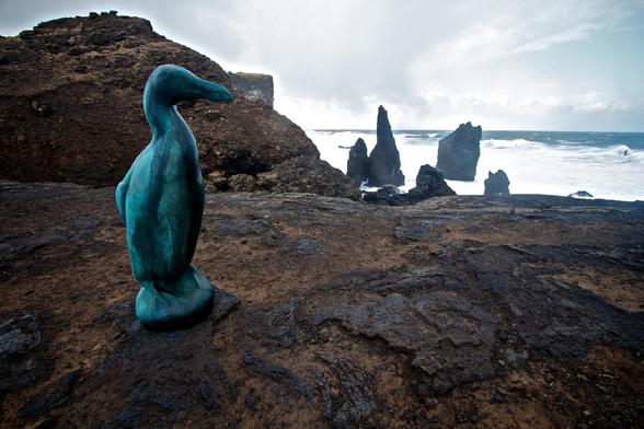 I’ve been fascinated with the great auk since stumbling on Todd McGrain’s five foot tall great auk sculpture, part of his Lost Bird Project, on Reykjaness in 2011. The sculpture, a patinated bronze great auk, looks out to sea, towards Eldey, where the last two living great auks were thought to have been killed (there’s credible evidence that great auks were seen later than that date off Newfoundland).