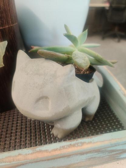 A concrete planter shaped like the Pokemon Bulbasaur rests on a painted tray, a green succulent "bulb" poking it behind him.