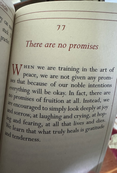 77
There are no promises
When we are training in the art of peace, we are not given any promises that because of our noble intentions everything will be okay. In fact, there are no promises of fruition at all. Instead, we are encouraged to simply look deeply at joy and sorrow, at laughing and crying, at hoping and fearing, at all that lives and dies. We learn that what truly heals is gratitude and tenderness.
-- Pema Chodron