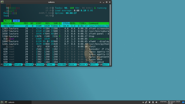 Terminal mostrando htop para ver recursos del sistema