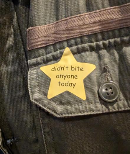 Gold star stuck to a green jacket, the star reads "didn't bite anyone today"