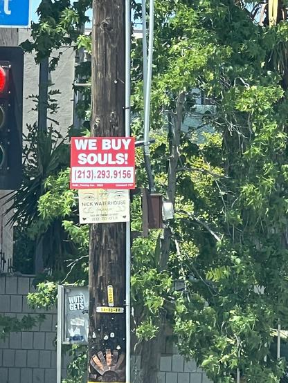 A wooden utility pole featuring a bright red sign that reads "WE BUY SOULS!" with a phone number, along with a smaller sign below it advertising a person named Nick Waterhouse. The background includes green foliage and a traffic light.