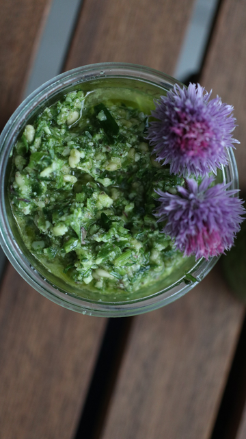 A jar with green pesto. On one side, two chive blossoms contrast the green with their hues of purple and pink.