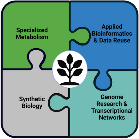 Figure summarizing the PuckerLab research interests. Source: https://www.pbb.uni-bonn.de