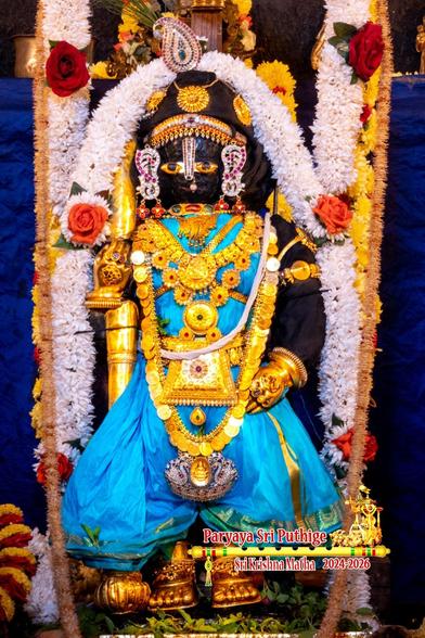 Idol of Hindu deity Krishna dressed in bright neon blue (blue-hued emerald color) with a gold staff in right hand, wearing gold shoes and lots of gold ornaments including a large belt buckle and a very long necklace made of gold coins. A thick white garland (with a couple of red roses) over Krishna's head falling down on either side of Krishna over his shoulders. Another white flower garland falls from somewhere above Krishna (origin not visible). Many green leaves at Krishna's feet.