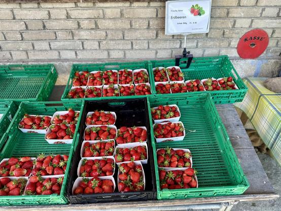 Grüne Plastikboxen, schräggestellt, darauf viele Kartonkörbchen mit frischen, roten Erdbeeren.