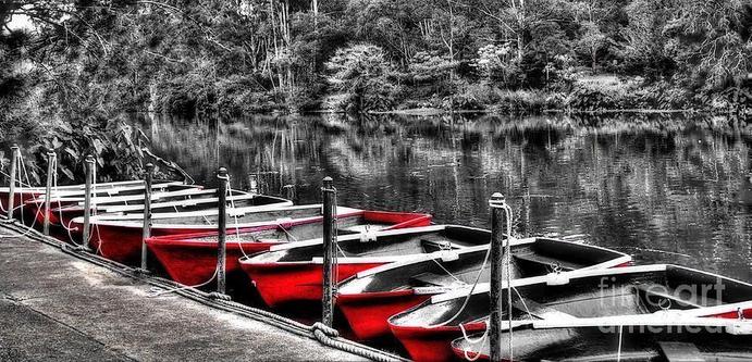 *ACHIEVED 2ND PLACE IN FAA CONTEST - "Colorful Skiffs" March 2016.
THE FINE ART AMERICA LOGO WILL NOT SHOW ON PURCHASED PRINTS OR PRODUCTS.

One of a series of river shots I captured at the beautiful Lane Cove National Park in Sydney, NSW, Australia. The time was around sunset when all the rowing boats had been returned after many had enjoyed a beautiful day boating on the river.

By Kaye Menner Photography
https://kaye-menner.pixels.com/featured/row-of-red-rowing-boats-kaye-menner.html