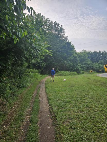 Dog happily walking in some grass on a trail beside a road.
