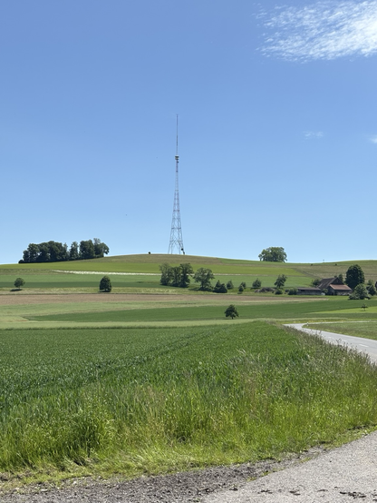 Former Medium Wave Site Beromünster