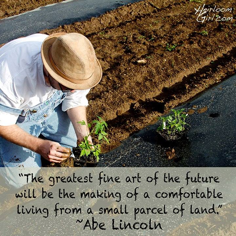 "The greatest fine art of the future will be the making of a comfortable living from a small parcel of land." -- Abraham Lincoln