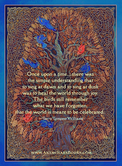 "Once upon a time, ...there was the simple understanding that to sing at dawn and to sing at dusk was to heal the world through joy. The birds still remember what we have forgotten, that the world is meant to be celebrated." --Terry Tempest Williams www.anamcharabook.com