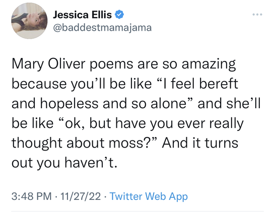 Jessica Ellis @baddestmamajama
Mary Oliver poems are so amazing because you'll be like "I feel bereft and hopeless and so alone" and she'll be like "ok, but have you every really thought about moss?" And it turns out you haven't.