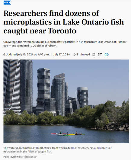 A view of Lake Ontario at Humber Bay showing the Toronto skyline with several tall residential and office towers rising above the treeline. In the foreground, calm blue water reflects the buildings, while a bright yellow kayak with paddlers can be seen on the lake. The shoreline is lined with mature trees and rocky areas. The image illustrates the urban waterfront setting where researchers discovered microplastics in fish caught from these waters.